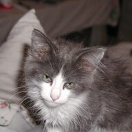 Boo Radley
