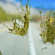 Bug Splats