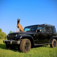 Dogsnjeeps