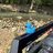 3D duck