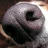 Jeff_M