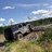 Sting_Rubi