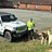 DogsOnTheRun