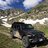 kubsr1976