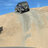 SABLE RHINO