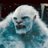 Elusive YETI