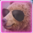 LOLtex