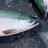 Badfish